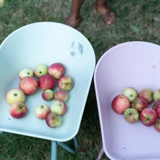 Little Dutch - Kruiwagen - Blauw - Forest Friends