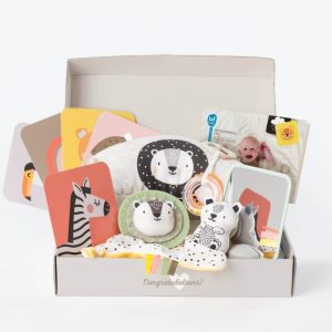 Taf Toys - newborn develop & play kit