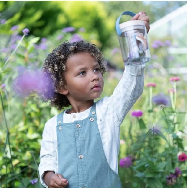 Little Dutch - Insectenpotje - Blauw - Forest Friends