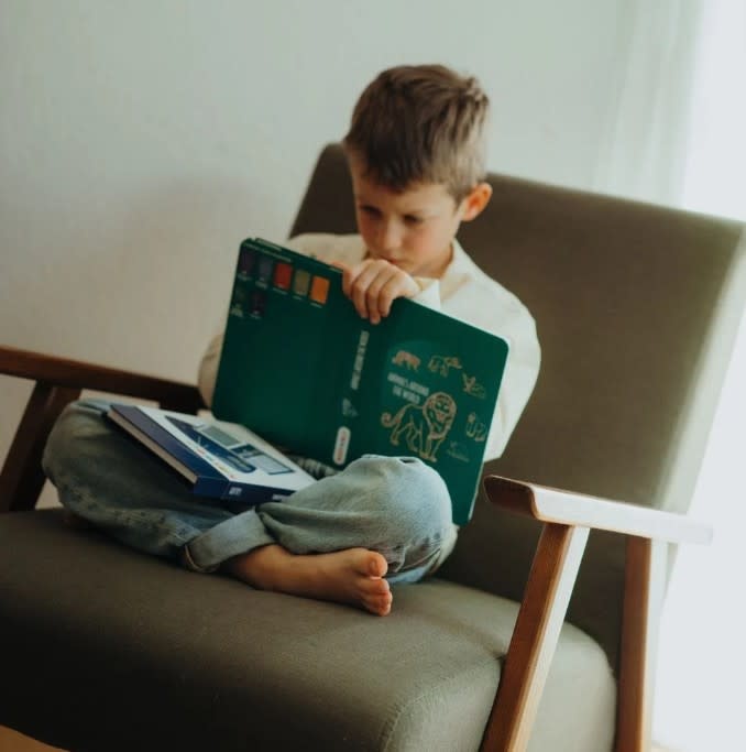 KIDYWOLF - Navullingen voor KIDYDRAW-MINI - "games" en "education"