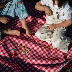 Play & Go - Speeltapijt/Opbergzak Outdoor - Pic Nic